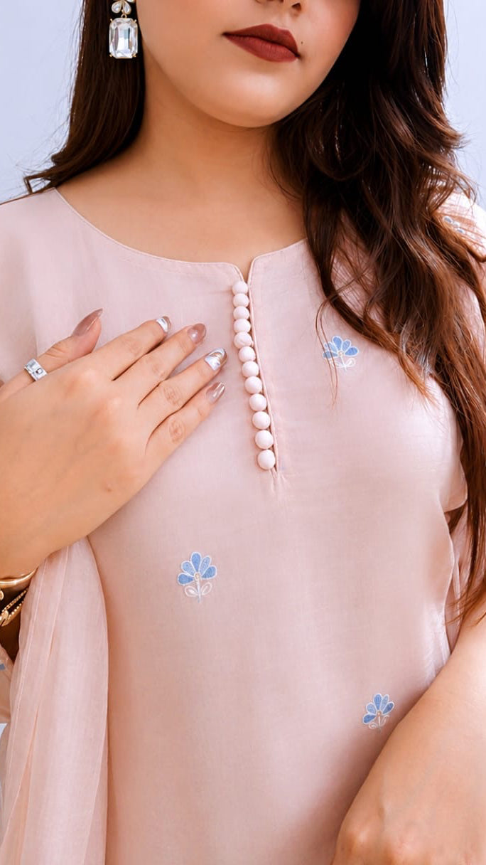 Soft Pastel Elegance  -  Embroidered Kurta  pant Set with Dupatta